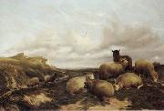 unknow artist, Sheep 159